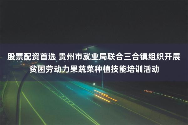 股票配资首选 贵州市就业局联合三合镇组织开展贫困劳动力果蔬菜种植技能培训活动