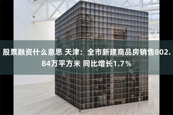 股票融资什么意思 天津：全市新建商品房销售802.84万平方米 同比增长1.7％