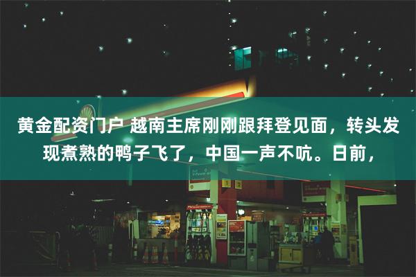 黄金配资门户 越南主席刚刚跟拜登见面，转头发现煮熟的鸭子飞了，中国一声不吭。日前，