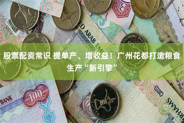 股票配资常识 提单产、增收益！广州花都打造粮食生产“新引擎”