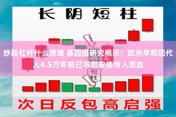 炒股杠杆什么原理 基因组研究揭示：欧洲早期现代人4.5万年前已与尼安德特人混血