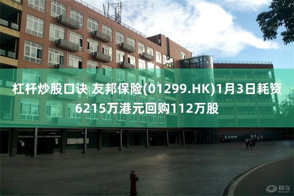 杠杆炒股口诀 友邦保险(01299.HK)1月3日耗资6215万港元回购112万股