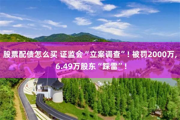 股票配债怎么买 证监会“立案调查”! 被罚2000万, 6.49万股东“踩雷”!