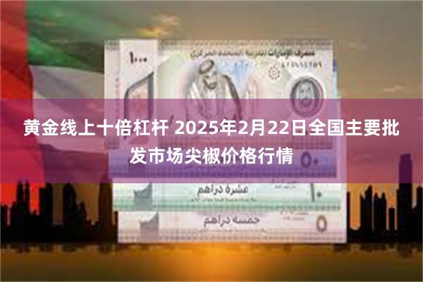 黄金线上十倍杠杆 2025年2月22日全国主要批发市场尖椒价格行情